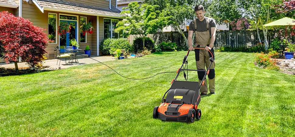 LAWNS & GARDEN