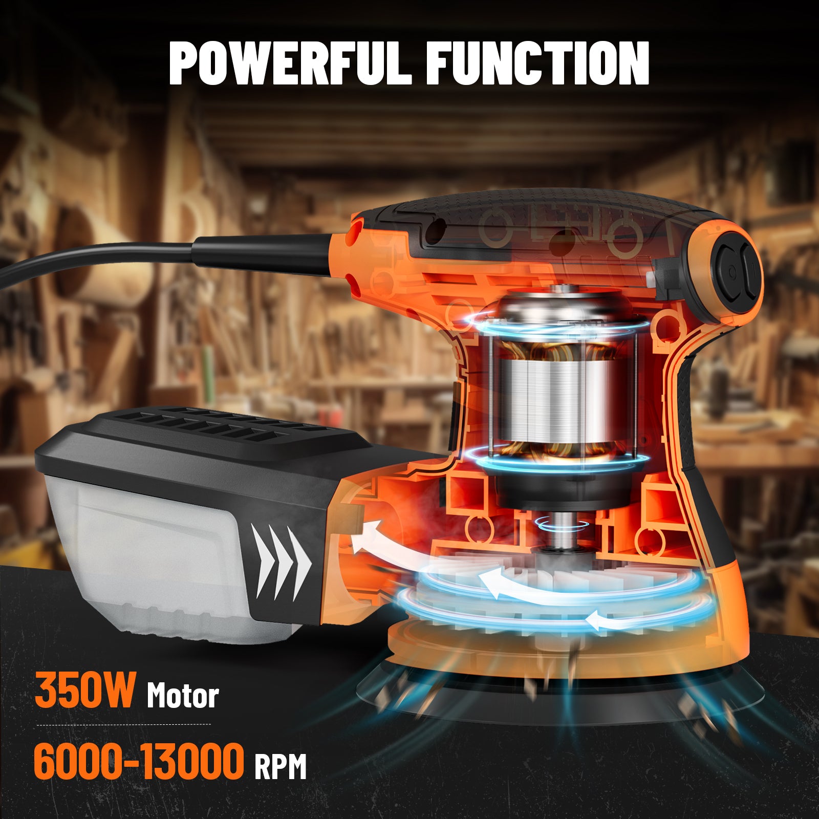 Internal view of the 350W motor providing 13000 RPM for high-performance sanding tasks